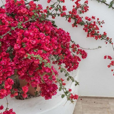 Depis Apartments & Suites Naxos City Extérieur photo