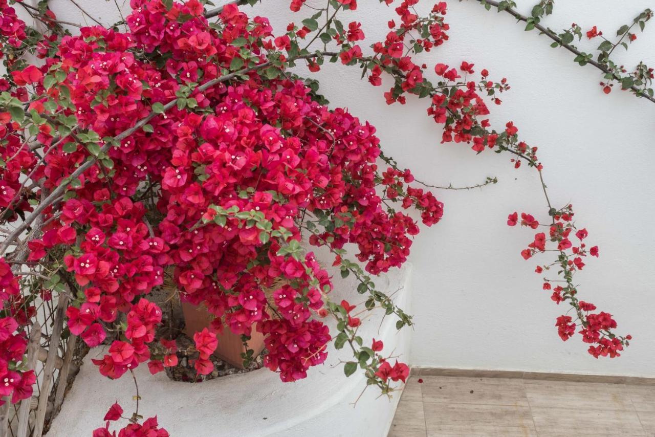 Depis Apartments & Suites Naxos City Extérieur photo